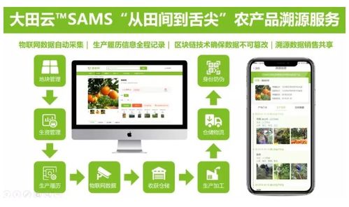 大田智慧農業1.28億元數字化服務助力農產品安全生產